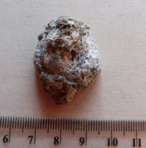 Chalcedon hadí oko - 3,4 cm — foto 4