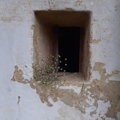 Bedrníček - s kapkou zelené — foto 2