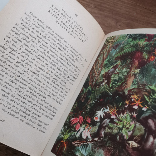 Robinson Crusoe — foto 4