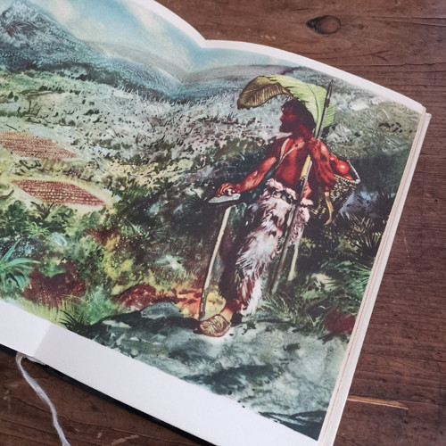 Robinson Crusoe — foto 3