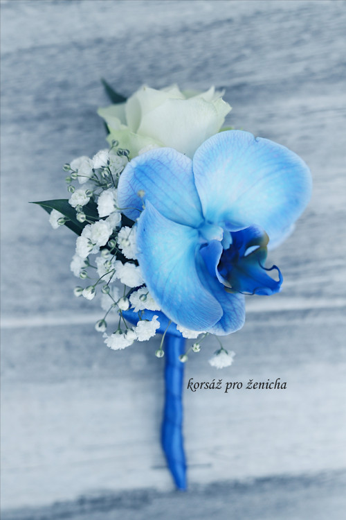 Modré orchideje — foto 2
