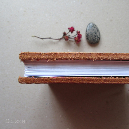 V paprscích II. — foto 5