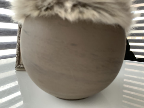 Magnolie v teple — foto 2