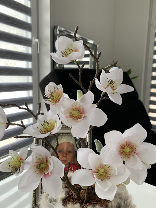 Magnolie v teple — foto 4