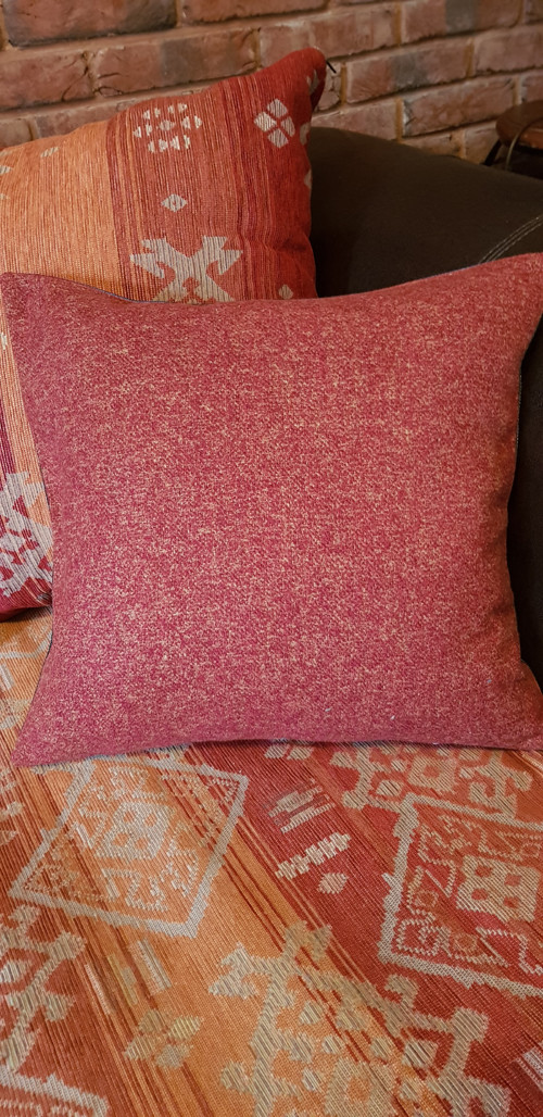 Kočičí sněmování — foto 3
