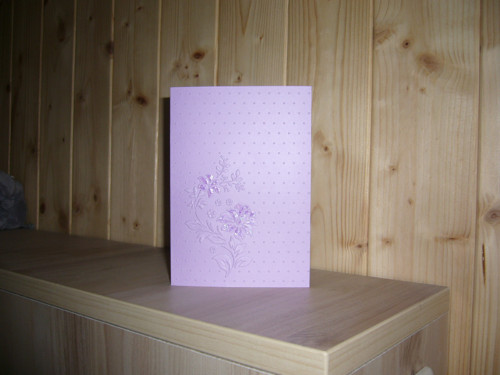 Přání fialové — foto 3