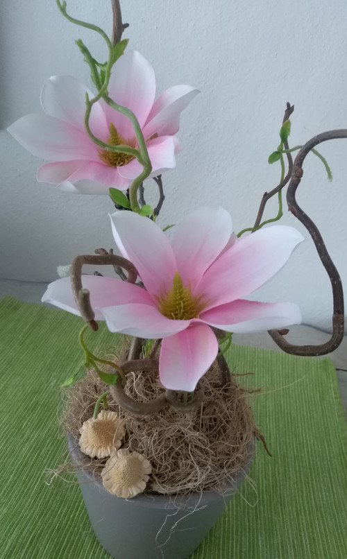 Jarní růžová — foto 3