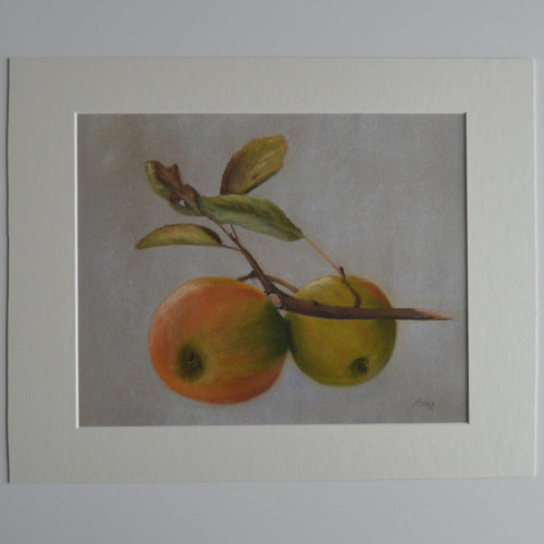 Originál suchý pastel- Jablíčka - 30 x 24 cm — foto 2