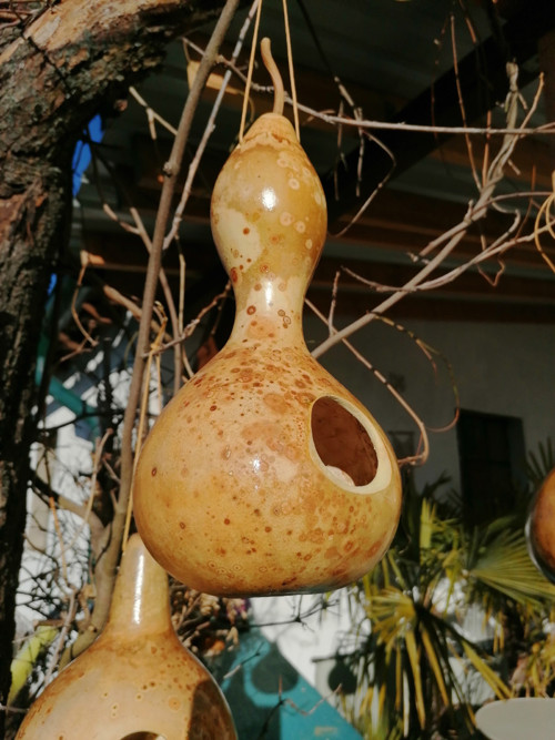 Budka z tykve II. — foto 2