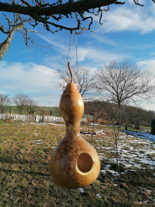 Budka z tykve II. — foto 3