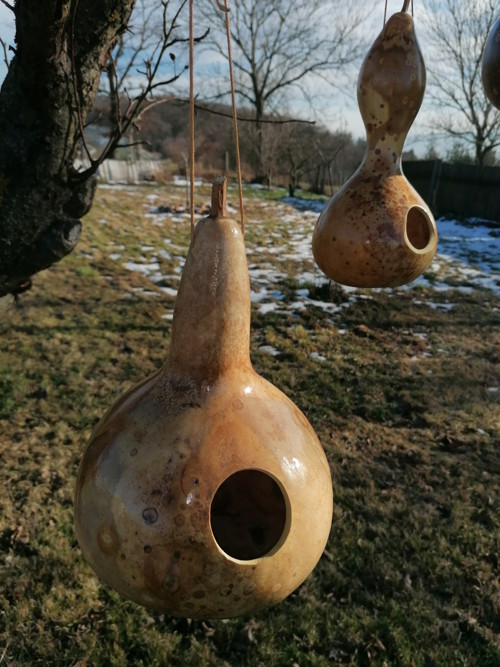 Budka z tykve III. — foto 3