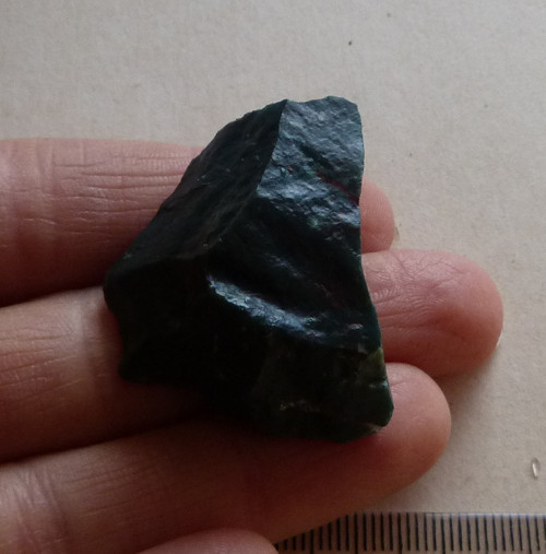 Heliotrop surový - 3,5 cm — foto 2