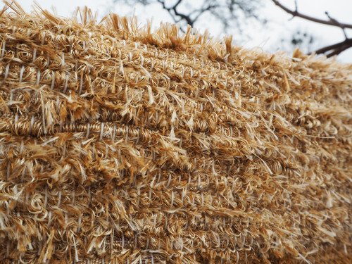 Medové koberečky — foto 5