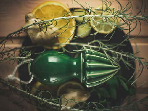 Citrusovač korál — foto 4