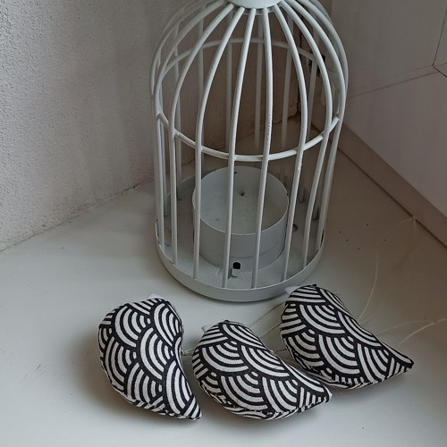 Ptáček čerňásek — foto 2