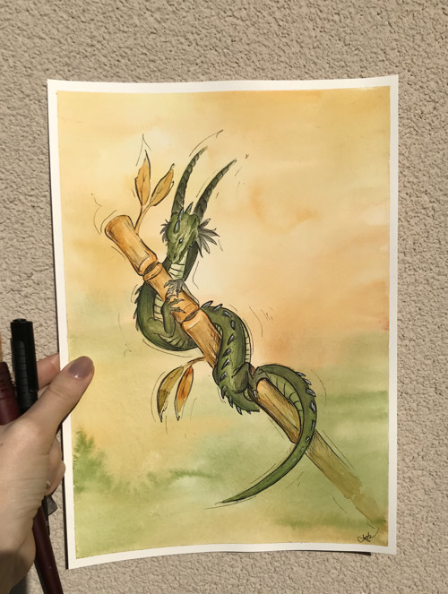 Čajový dráček — foto 2