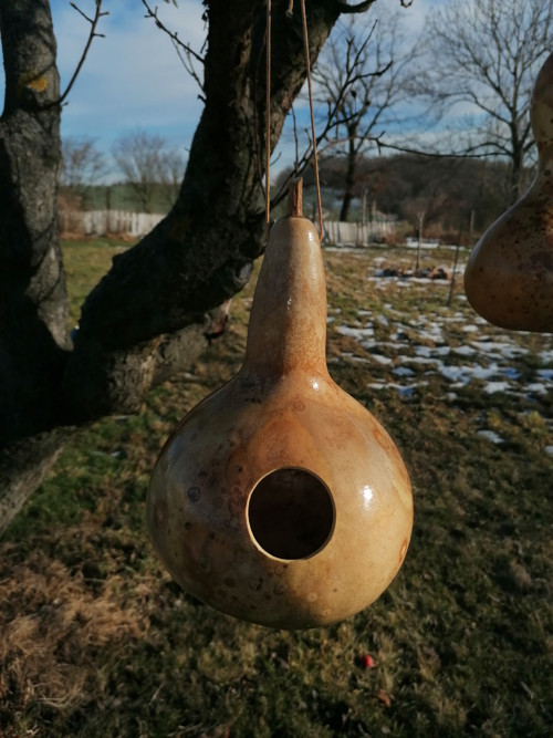 Budka z tykve III. — foto 4