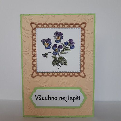 Violka trojbarevná — foto 2