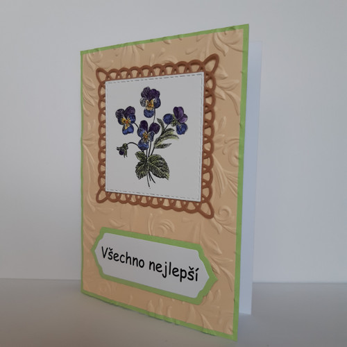 Violka trojbarevná — foto 3