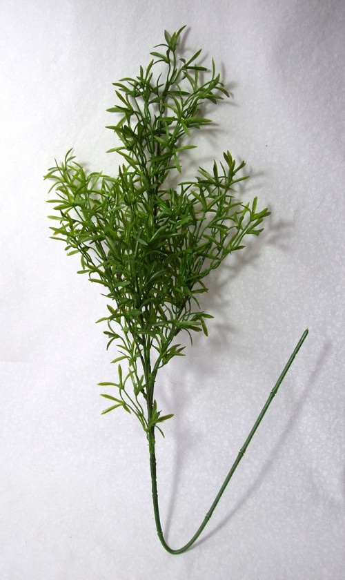 Asparagus 76 cm — foto 2