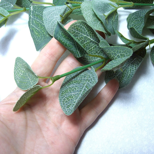 Eukalyptus s textilními listy — foto 2