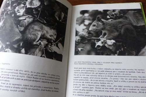O rezaté veverce, D. Fischerová — foto 2
