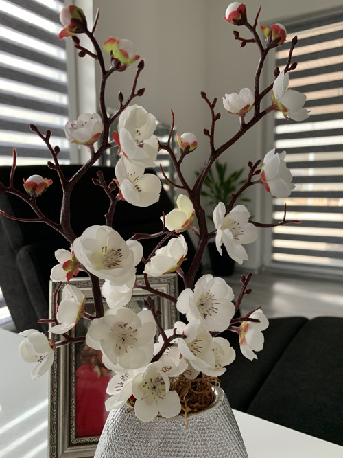 Sakura — foto 4
