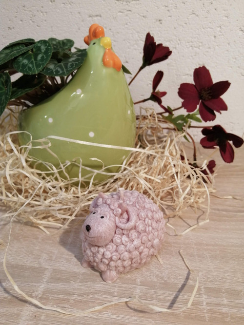 Beránek — foto 3