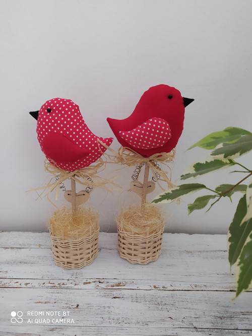 Ptáček — foto 2