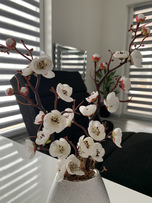 Sakura — foto 2