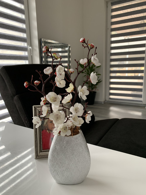 Sakura — foto 4