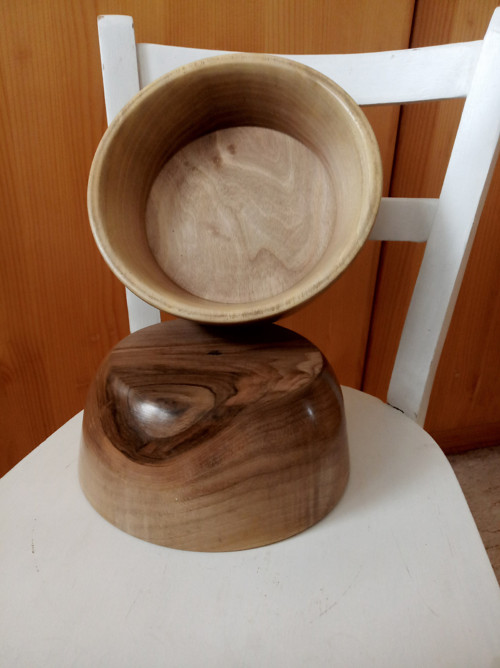 Ořechové oko — foto 2