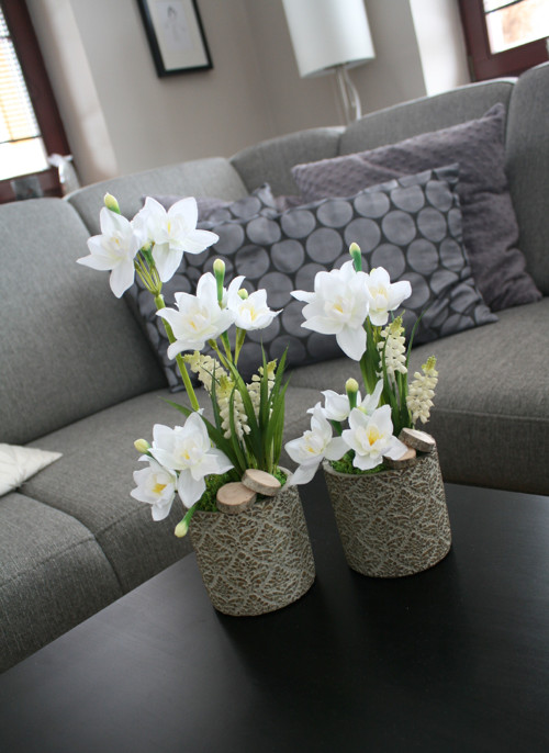 Betonové obaly s narciskami — foto 2
