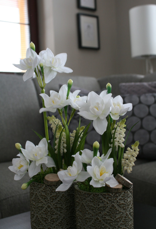 Betonové obaly s narciskami — foto 4