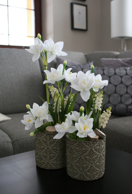 Betonové obaly s narciskami — foto 6