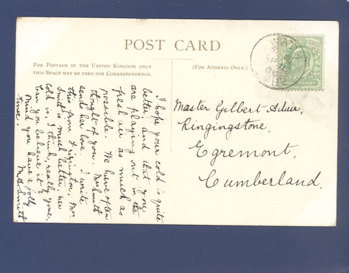Parní lokomotiva Precursor No. 531 - pohlednice — foto 2