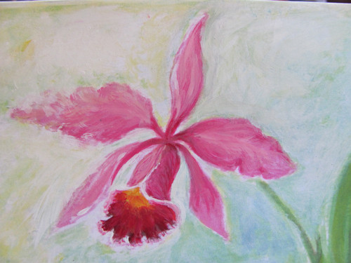 Orchidej Cattleya, přání — foto 3