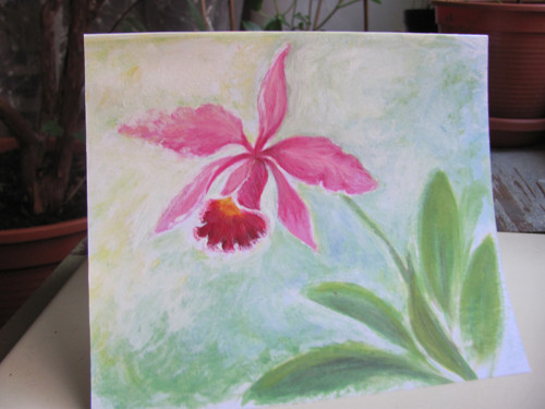 Orchidej Cattleya, přání — foto 2