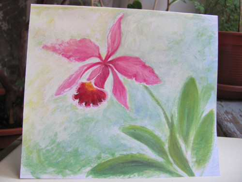 Orchidej Cattleya, přání — foto 4