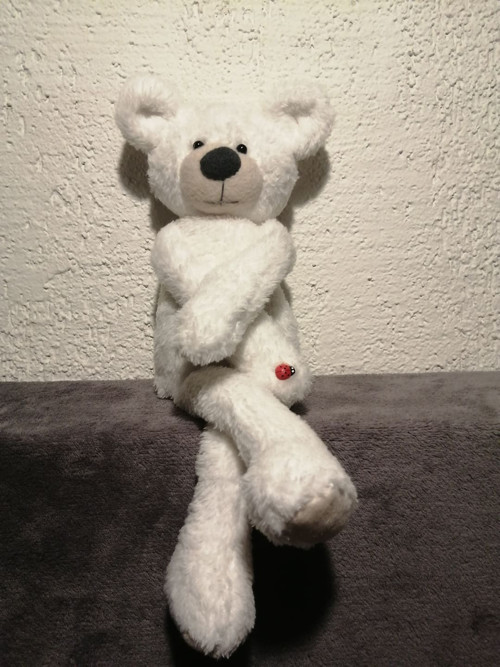Medvídek — foto 3