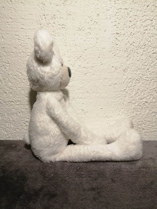 Medvídek — foto 2