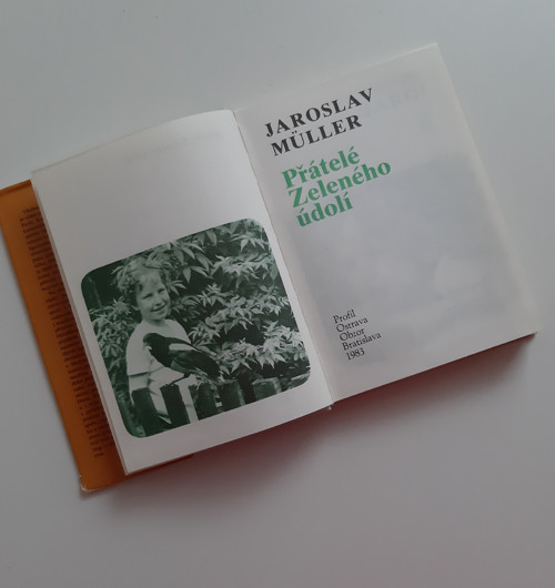 Vzpomínka Na Dětství — foto 3