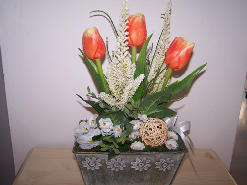 Oranžové tulipány — foto 3