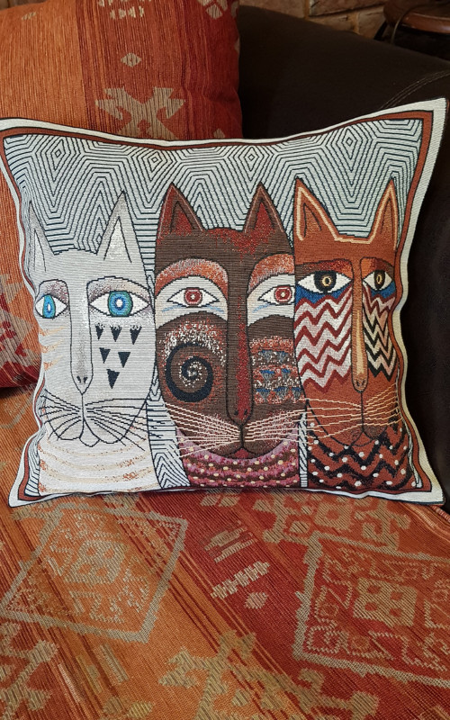 Kočičí čekání — foto 2
