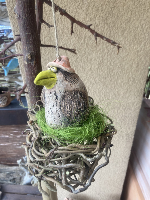 Jarní pták v hnízdě — foto 3