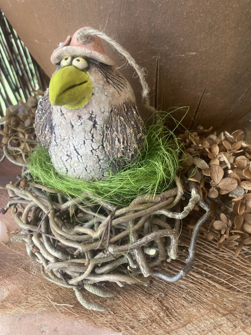 Jarní pták v hnízdě — foto 5