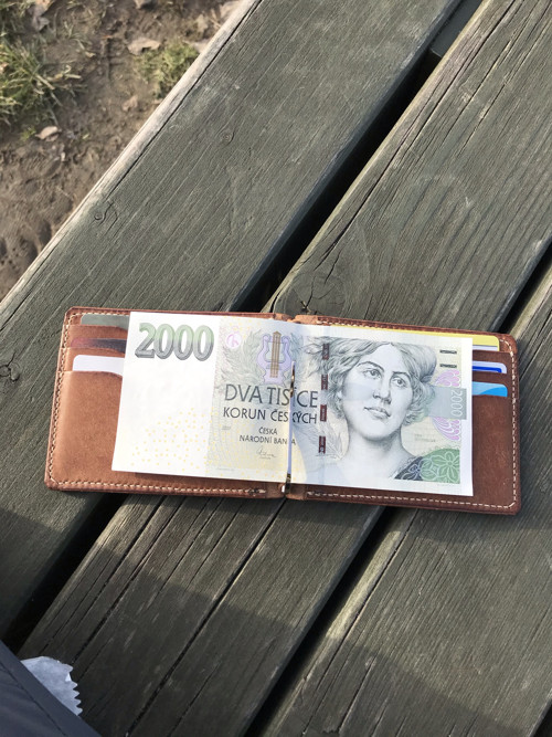 Dolarovka oříšek — foto 3