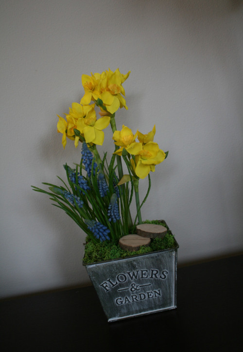 Plechový obal s narciskami a modřenci — foto 4