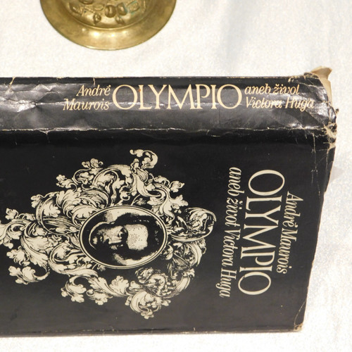 Olympio aneb život Victora Huga — foto 2