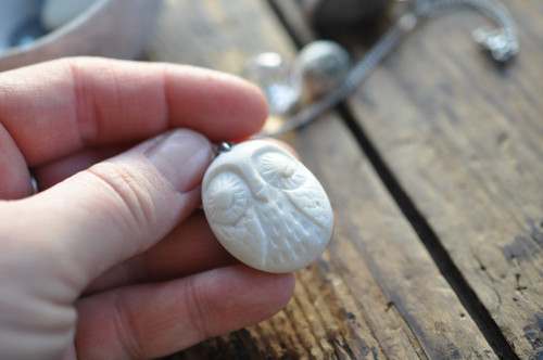 Přítel...tu...nablízku...sova — foto 3